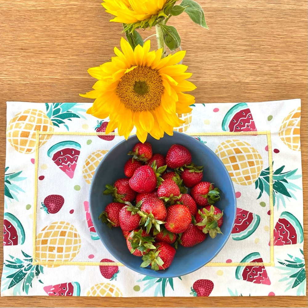 NWT handmade cotton placemats with embroidery - set of 4